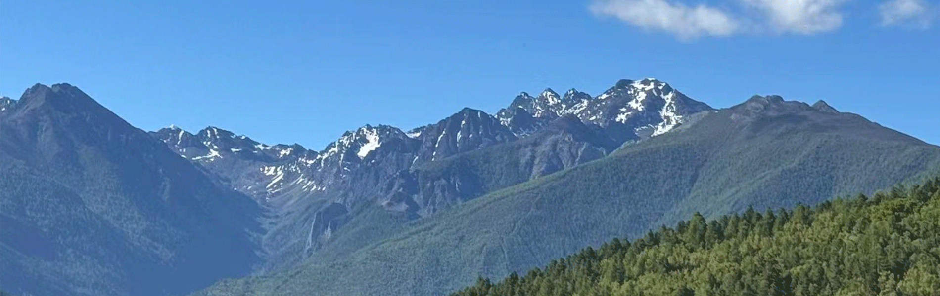 正寶升株式会社_会社情報